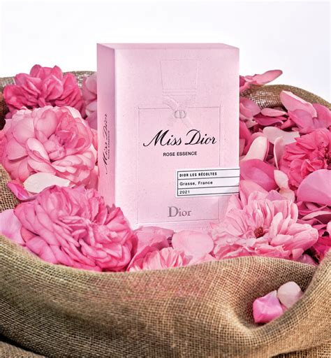 christian dior miss dior rose essence|Christian Dior Miss Dior fragrance.